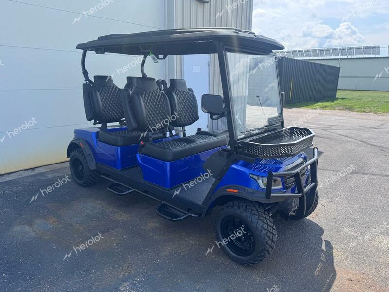 FRME GOLF CART 2024 blue   FC4001106 photo #1