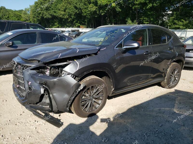 LEXUS NX 350 BAS 2024 gray  gas 2T2AGCEZ8RC038227 photo #1