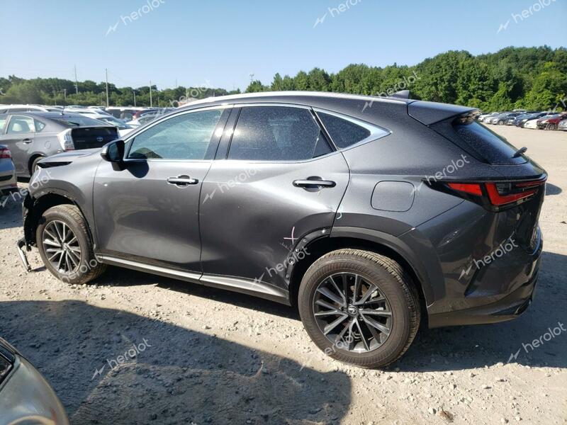 LEXUS NX 350 BAS 2024 gray  gas 2T2AGCEZ8RC038227 photo #3