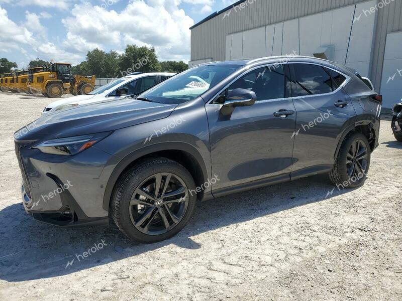 LEXUS NX 450H LU 2024 gray  hybrid engine JTJHKCFZ3R2036199 photo #1