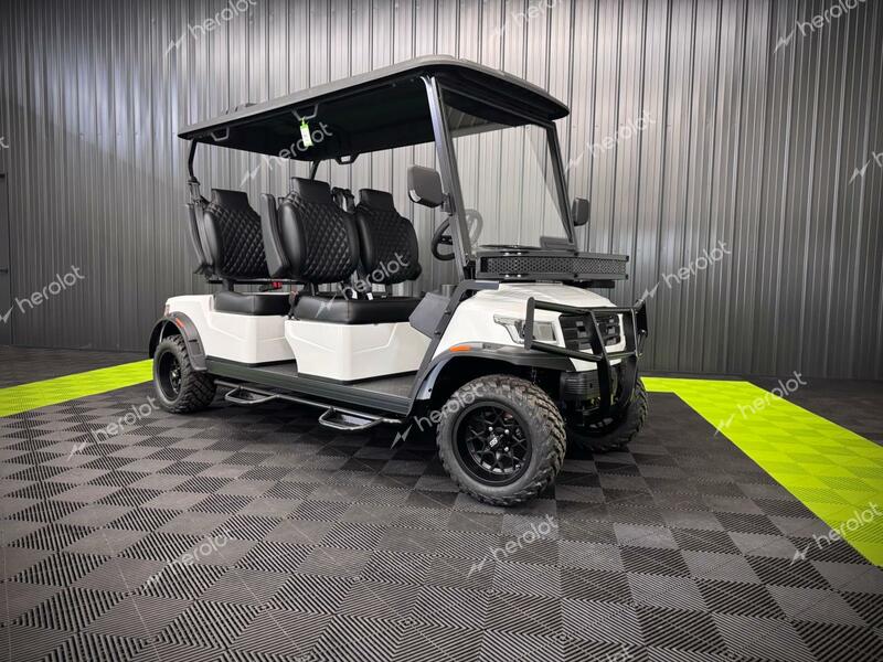 FRME GOLF CART 2024 white   FC4001109 photo #1