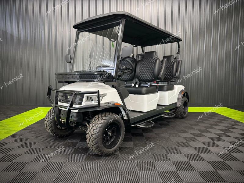 FRME GOLF CART 2024 white   FC4001109 photo #3