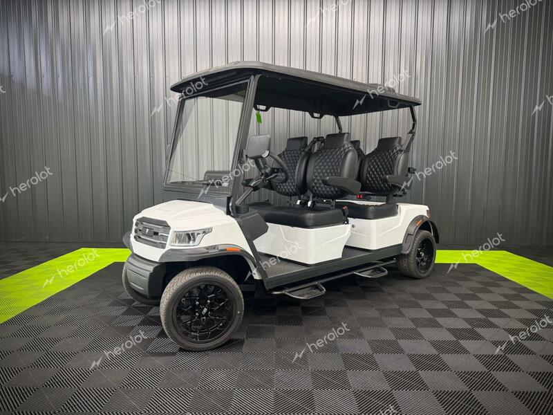 FRME GOLF CART 2024 white   FC4001114 photo #3