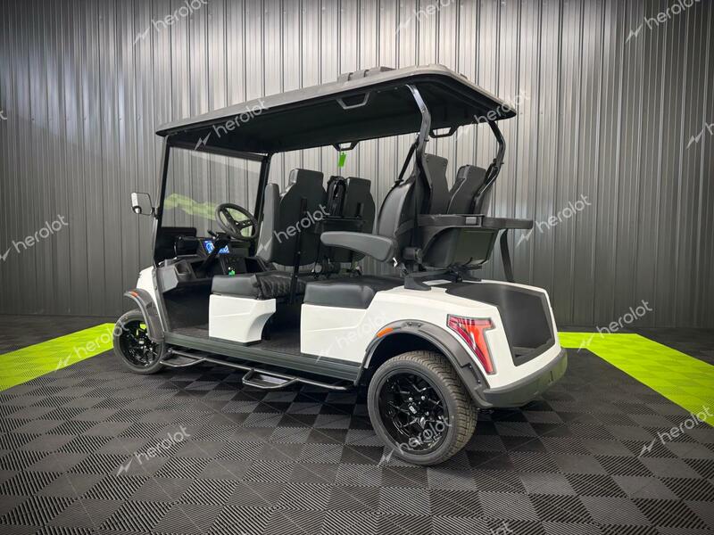 FRME GOLF CART 2024 white   FC4001114 photo #4