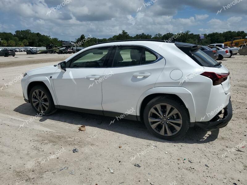 LEXUS UX 250H BA 2024 white  hybrid engine JTHB6JBH3R2183023 photo #3