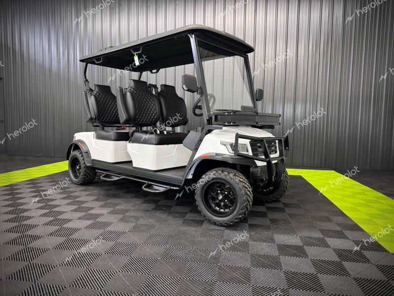 FRME GOLF CART 2024 white   FC4001115 photo #1