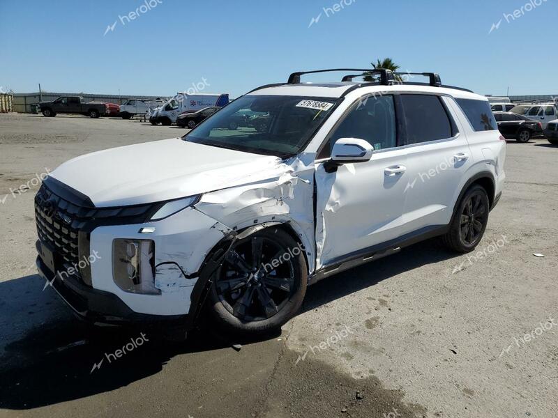 HYUNDAI PALISADE X 2024 white  gas KM8R34GEXRU727817 photo #1