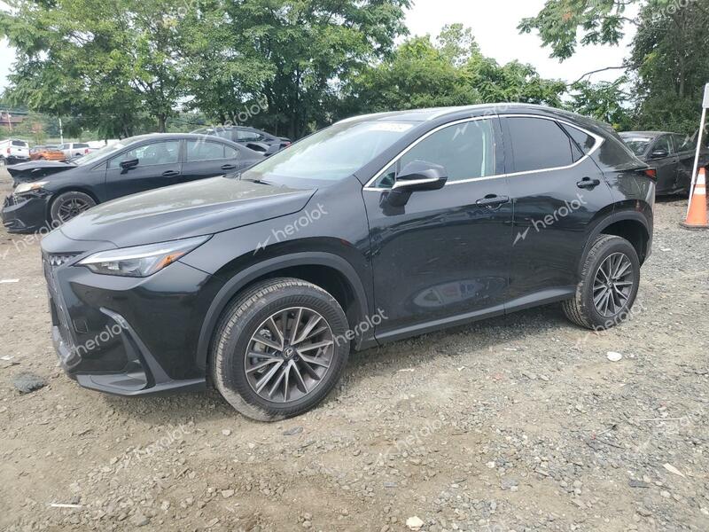 LEXUS NX 350 PRE 2025 black  gas 2T2GGCEZ1SC063857 photo #1