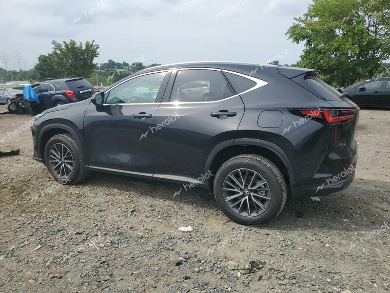 LEXUS NX 350 PRE 2025 black  gas 2T2GGCEZ1SC063857 photo #3