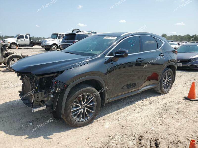 LEXUS NX 250 PRE 2024 black  gas 2T2GDCAZ9RC008193 photo #1