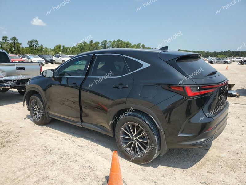 LEXUS NX 250 PRE 2024 black  gas 2T2GDCAZ9RC008193 photo #3