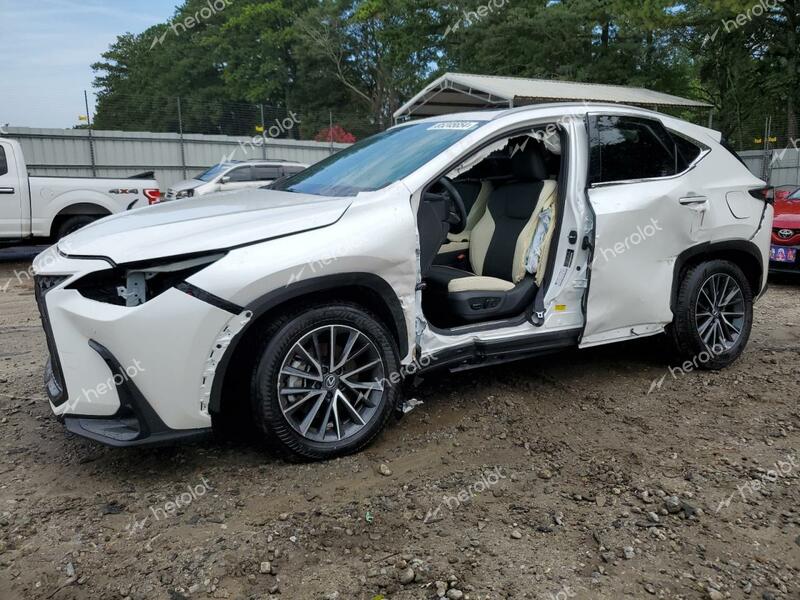 LEXUS NX 250 PRE 2024 white  gas 2T2GDCAZ3RC011025 photo #1