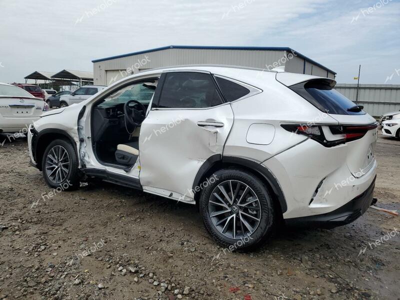 LEXUS NX 250 PRE 2024 white  gas 2T2GDCAZ3RC011025 photo #3