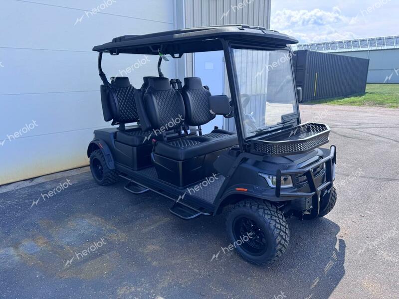 FRME GOLF CART 2024 black   FC4001132 photo #1