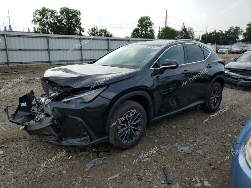 LEXUS NX 350 BAS 2024 black  gas 2T2AGCEZ5RC051551 photo #1