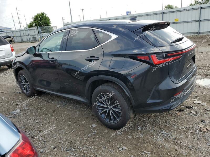 LEXUS NX 350 BAS 2024 black  gas 2T2AGCEZ5RC051551 photo #3