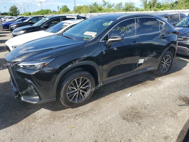 LEXUS NX 250 PRE 2024 black  gas 2T2GDCAZ8RC006600 photo #1