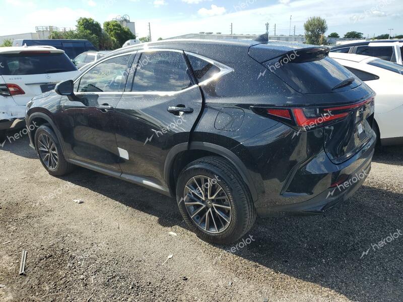 LEXUS NX 250 PRE 2024 black  gas 2T2GDCAZ8RC006600 photo #3