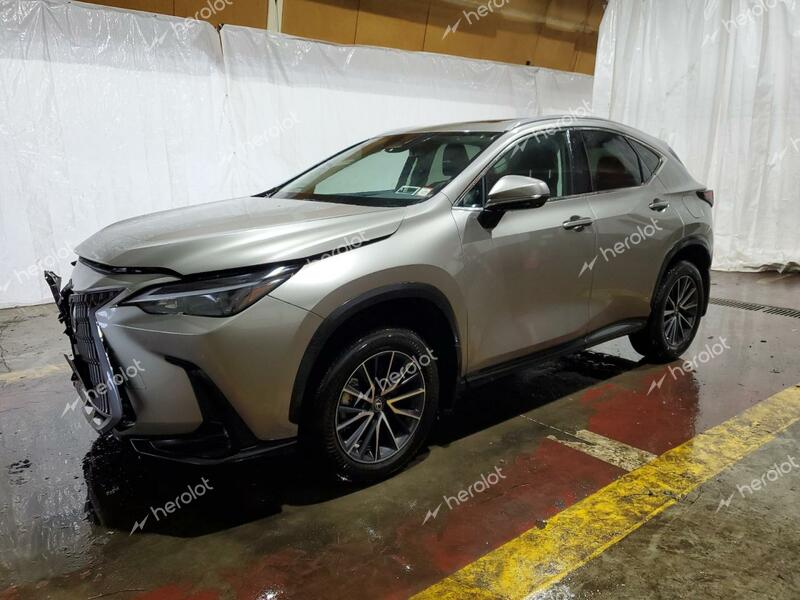 LEXUS NX 350 BAS 2024 silver  gas 2T2AGCEZ7RC053494 photo #1