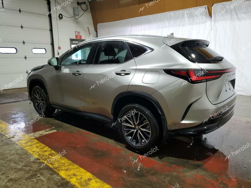 LEXUS NX 350 BAS 2024 silver  gas 2T2AGCEZ7RC053494 photo #3