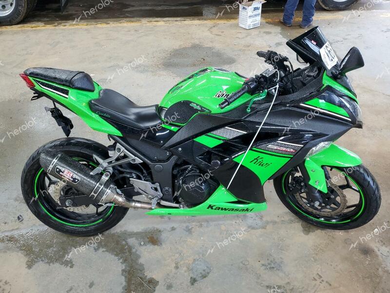 KAWASAKI EX300 A 2013 green racer gas JKAEX8A17DDA08891 photo #1