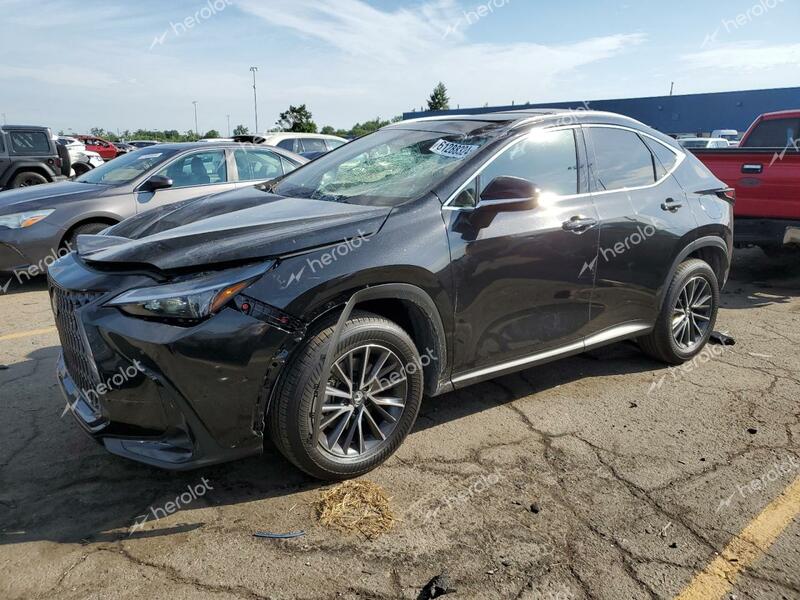 LEXUS NX 350 BAS 2025 black  gas 2T2AGCEZ4SC063101 photo #1