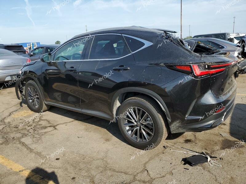 LEXUS NX 350 BAS 2025 black  gas 2T2AGCEZ4SC063101 photo #3