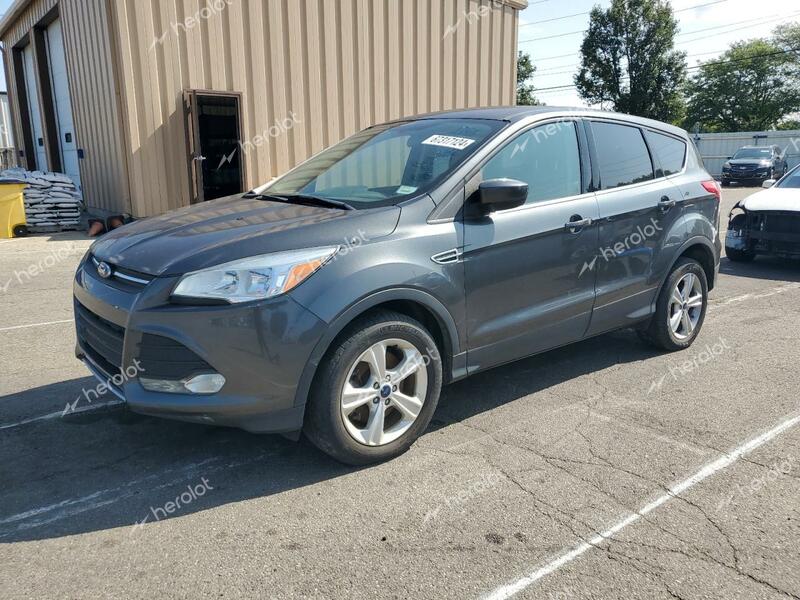 FORD ESCAPE SE 2016 gray 4dr spor gas 1FMCU9GX8GUC08666 photo #1