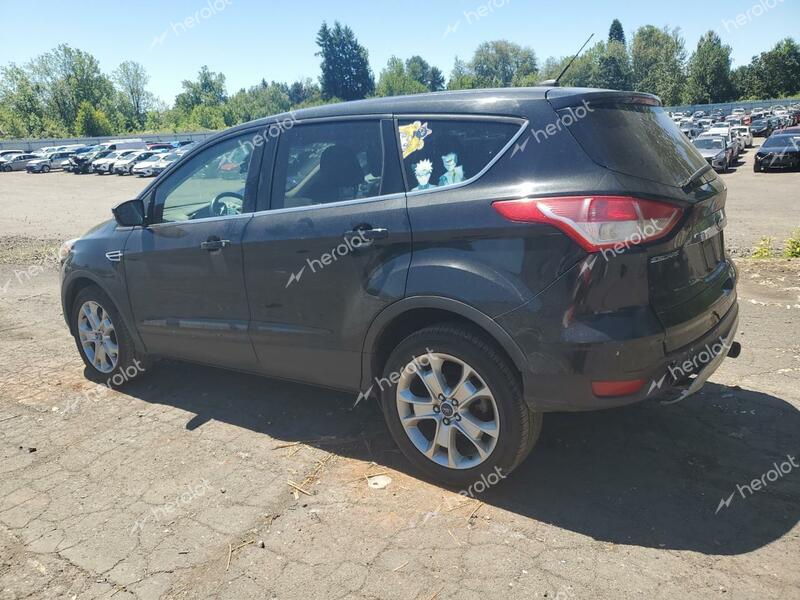 FORD ESCAPE SEL 2013 black  gas 1FMCU9H97DUA34486 photo #3