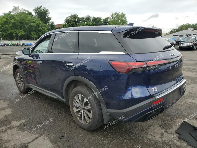 INFINITI QX60 PURE 2023 blue  gas 5N1DL1ES3PC370338 photo #3