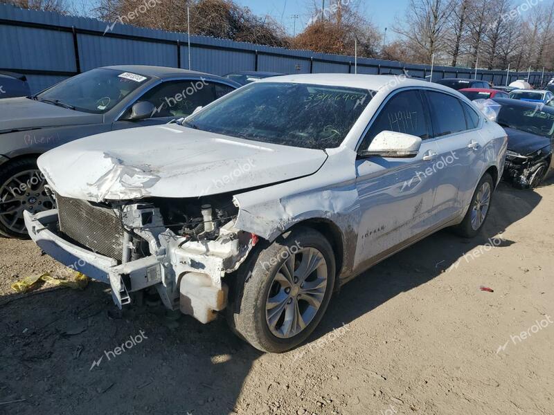 CHEVROLET IMPALA LT 2014 white  gas 2G1125S36E9184000 photo #1