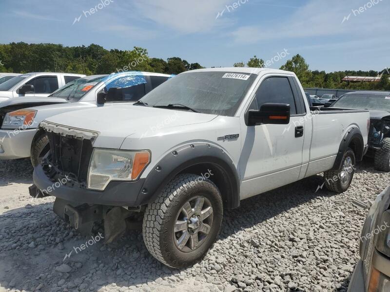 FORD F150 2009 white  gas 1FTRF12W09KB87948 photo #1