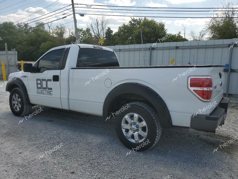 FORD F150 2009 white  gas 1FTRF12W09KB87948 photo #3