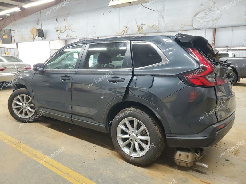 HONDA CR-V EX 2024 gray  gas 7FARS4H44RE017676 photo #3