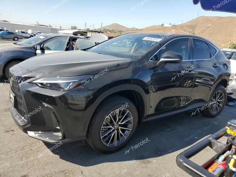 LEXUS NX 350 PRE 2025 black  gas 2T2GGCEZ0SC061999 photo #1