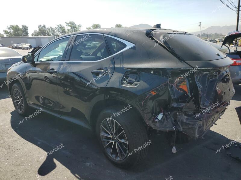 LEXUS NX 350 PRE 2025 black  gas 2T2GGCEZ0SC061999 photo #3