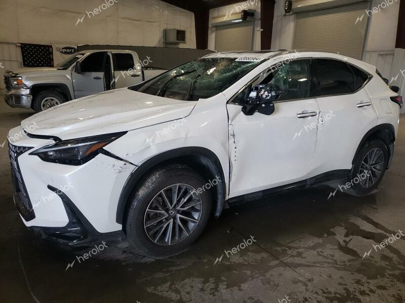 LEXUS NX 350 PRE 2024 white  gas 2T2GGCEZ3RC043216 photo #1