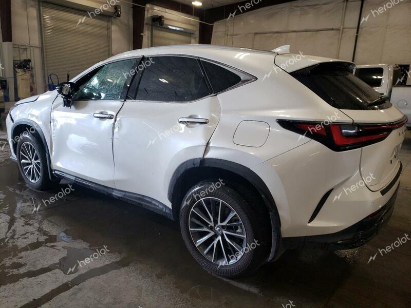 LEXUS NX 350 PRE 2024 white  gas 2T2GGCEZ3RC043216 photo #3