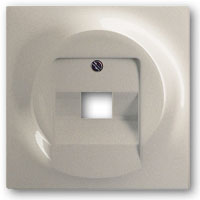 ABB BJE Impuls Шампань Накладка 1-й ТЛФ и комп розетки наклонной (мех 213/16) 2CKA001753A8998