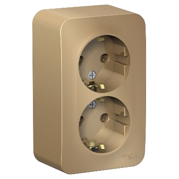 Купить Systeme Electric Blanca наруж Титан Розетка 2-ая с/з без шторок 16А, 250В, изолир. пластина