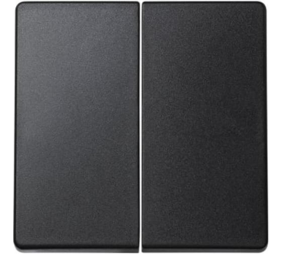 Simon 73 loft Графит Клавиша 2-ая 73026-62