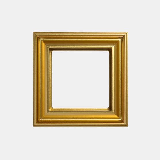 JUNG EcoProfi DECO Золото Рамка 1-ая EPD481GO