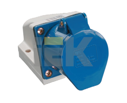 Купить IEK Розетка 113 стационарная 2Р+РЕ 16А 220В IP44