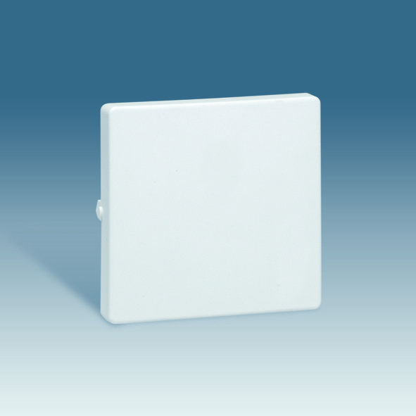 Simon 73 loft Графит Клавиша 1-ая 73010-62