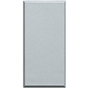 BT Axolute Алюминий Заглушка 1 мод HC4950