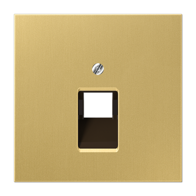 JUNG LS 990 Classic Накладка 1-ой наклонной ТЛФ/комп розетки ME2969-1UAC