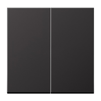 JUNG EcoProfi Черный матовый Клавиша 2-ая EP495SWM