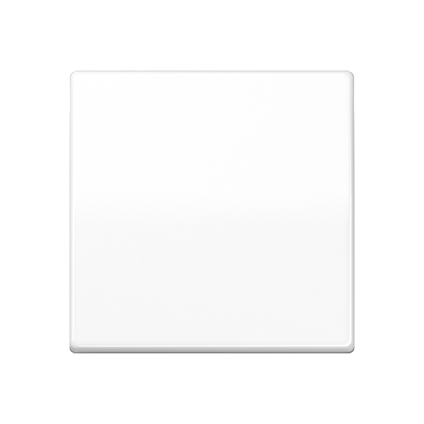 JUNG AS 500 Белая Клавиша 1-ая AS591WW