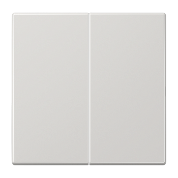 JUNG LS 990 Светло-серая Клавиша 2-ая LS995LG