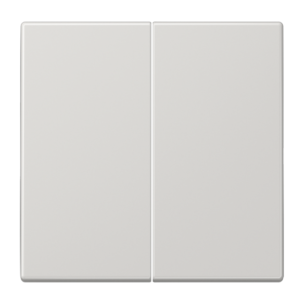 JUNG LS 990 Светло-серая Клавиша 2-ая LS995LG